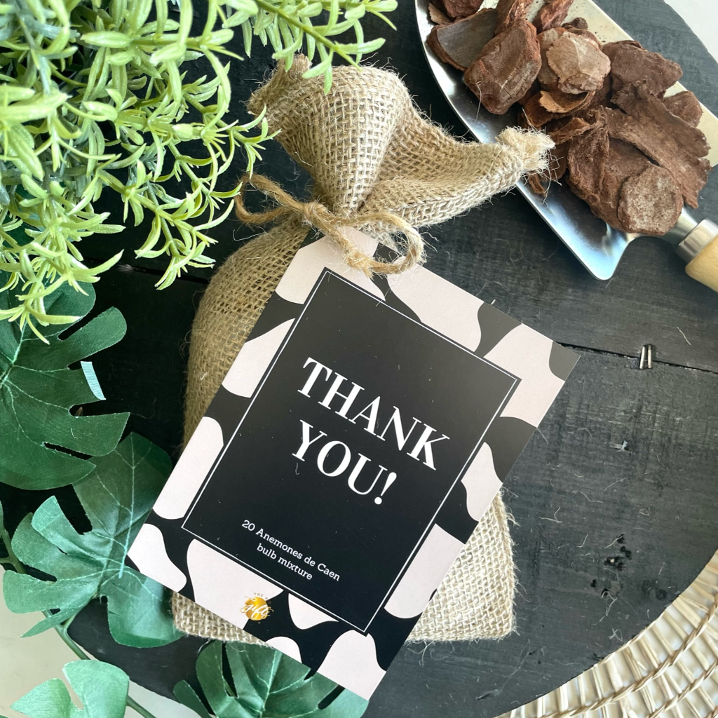 The big gifts: Bloembollen – Thank you