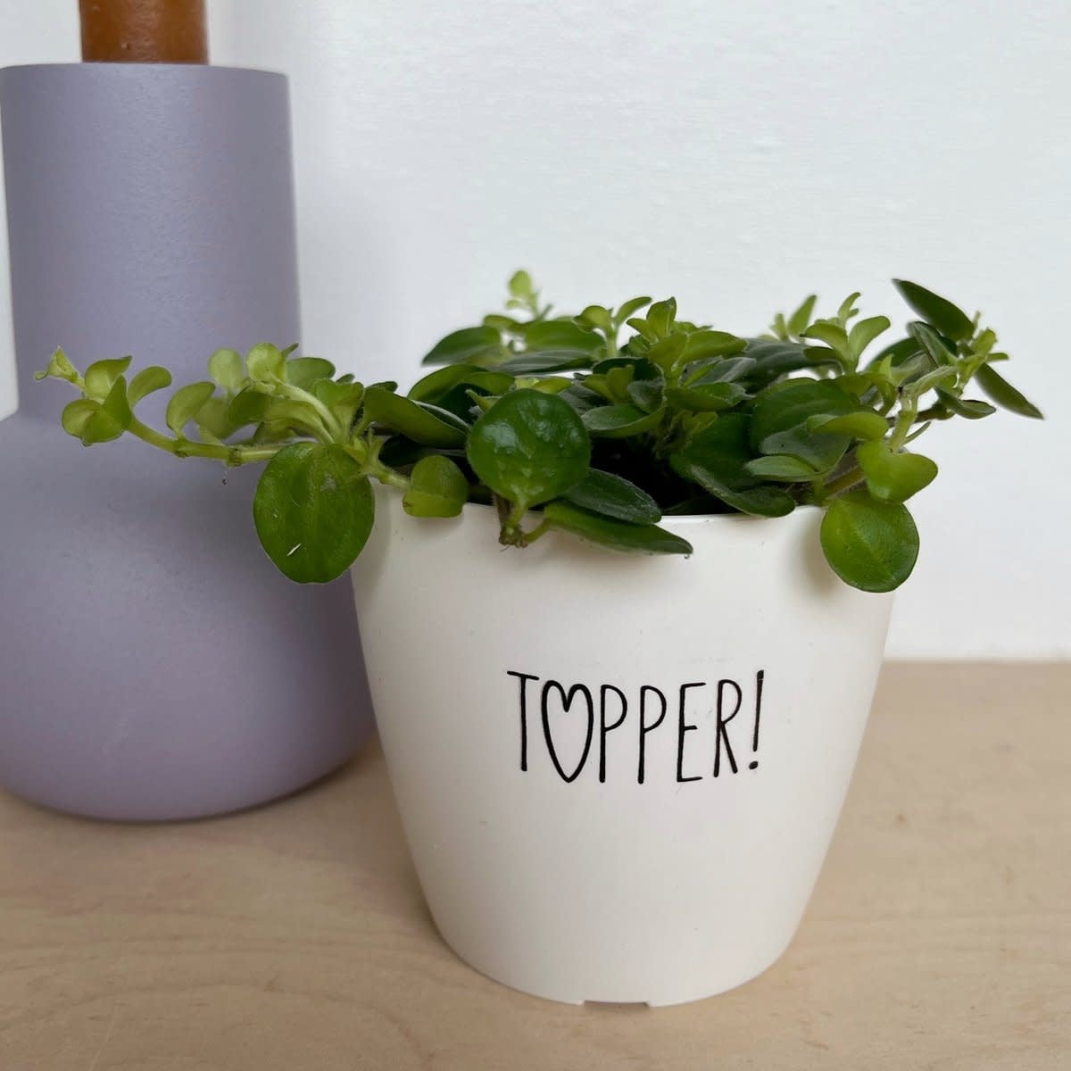 Sproetiz: Bloempotje 'Topper' - wit