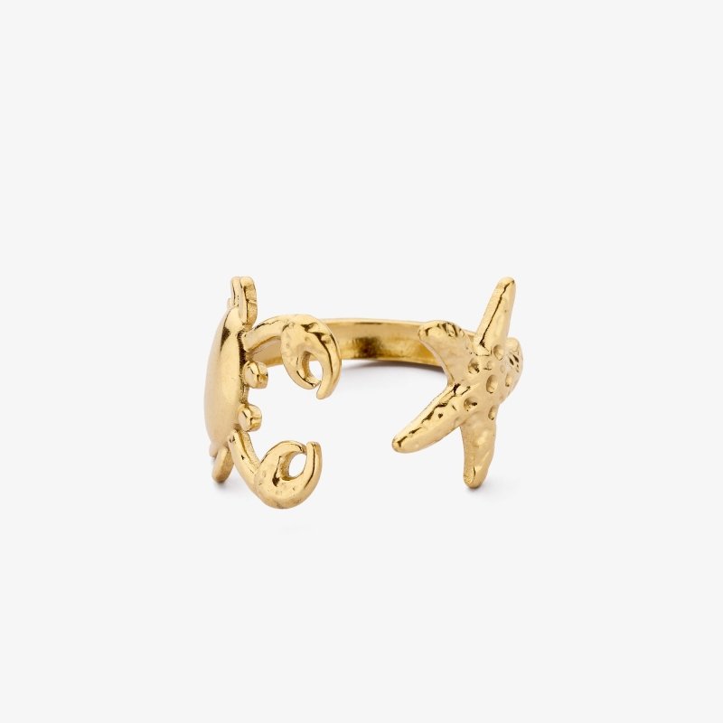 Liet & Joliet: Verstelbare ring met zeester en schelp in stainless steel - goud
