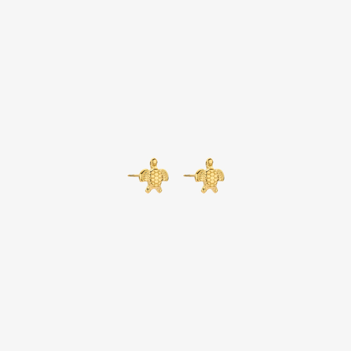 Schildpad oorbellen - goud