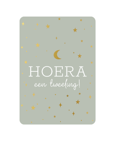 KP: kaartje a6 - Hoera een tweeling