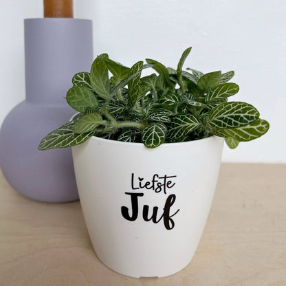 Sproetiz: Bloempotje 'Liefste juf' - wit