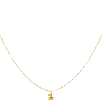 Ketting: kersen