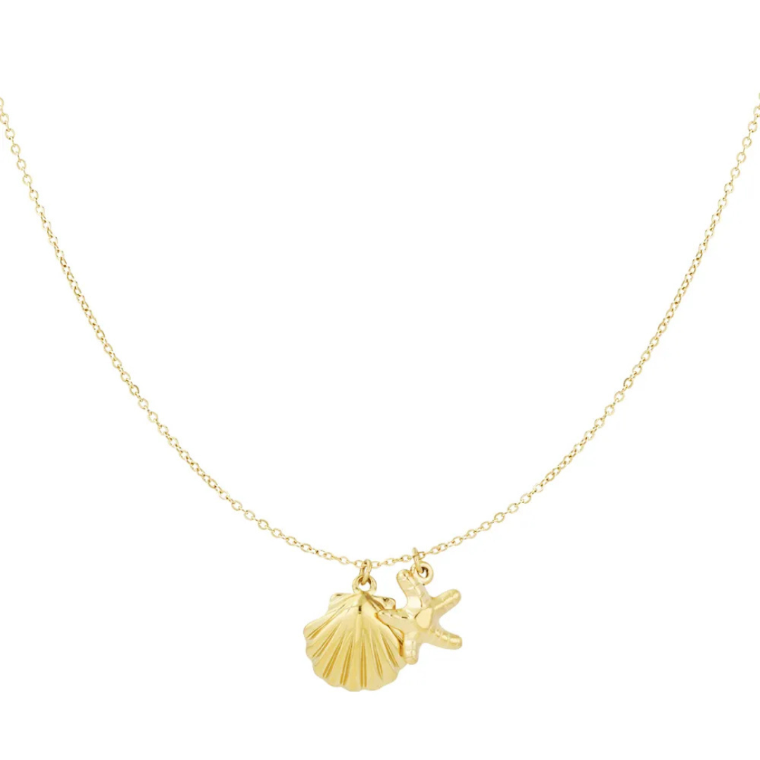 Ketting: zeester en schelp