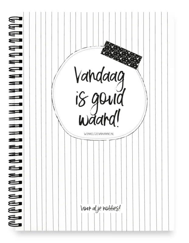 Winkeltje van Anne notitieboek: Vandaag is goud waard