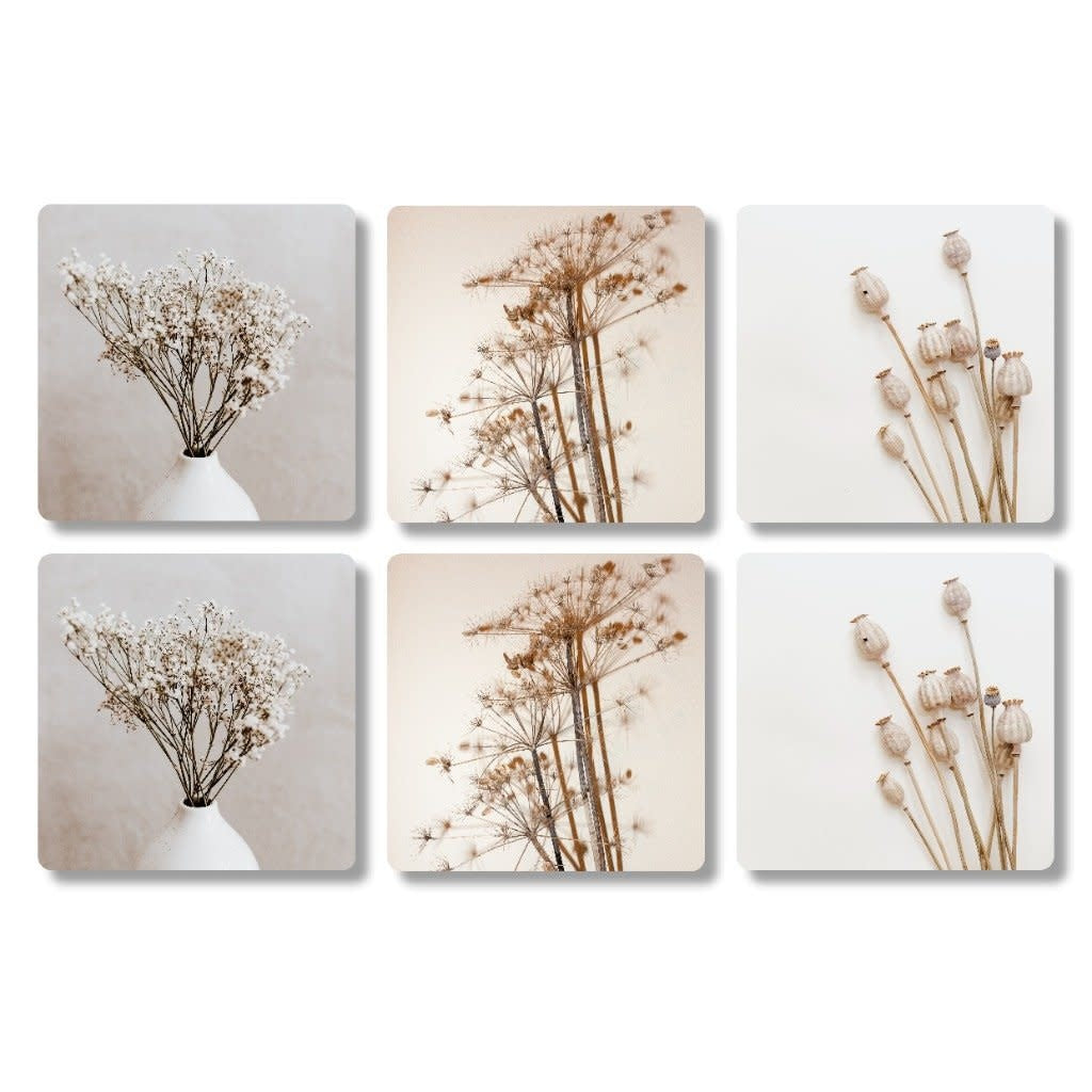 The big gifts: Onderzetters 6 stuks - plantbloem