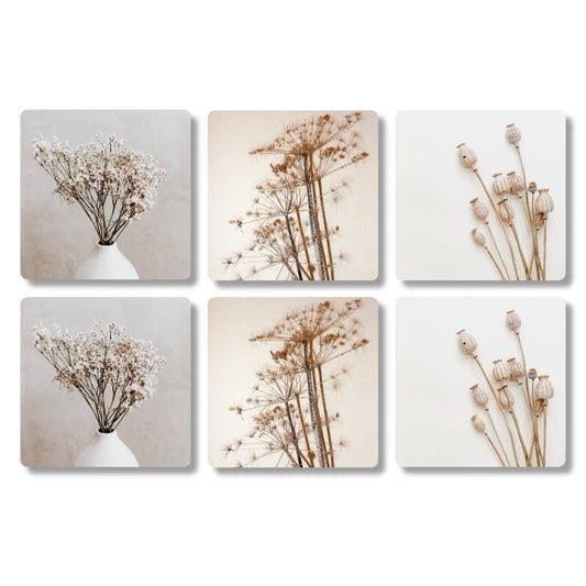 The big gifts: Onderzetters 6 stuks - plantbloem
