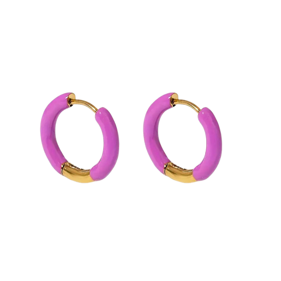 Oorbellen - gekleurde ring - paars