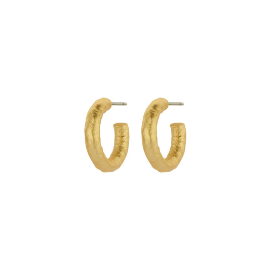 Biba: oorbellen goud 003