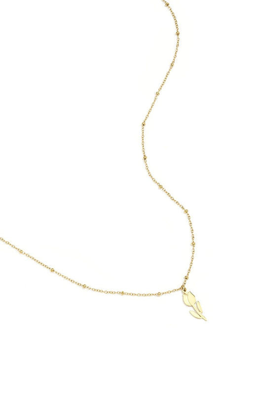 Yehwang: ketting