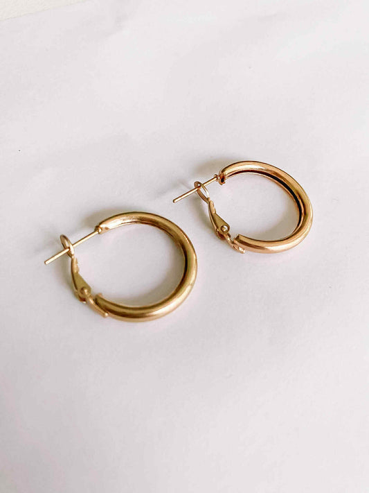 Oorbellen - goud 022