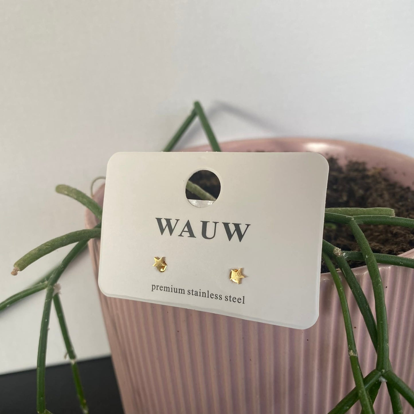 Wauw: oorbellen - sterretjes