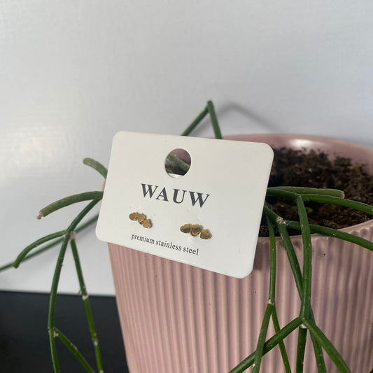 Wauw: oorbellen - 3 hartjes