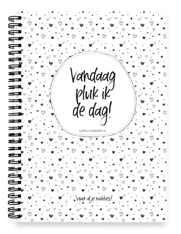 Winkeltje van Anne: notitieboek: Vandaag pluk ik de dag