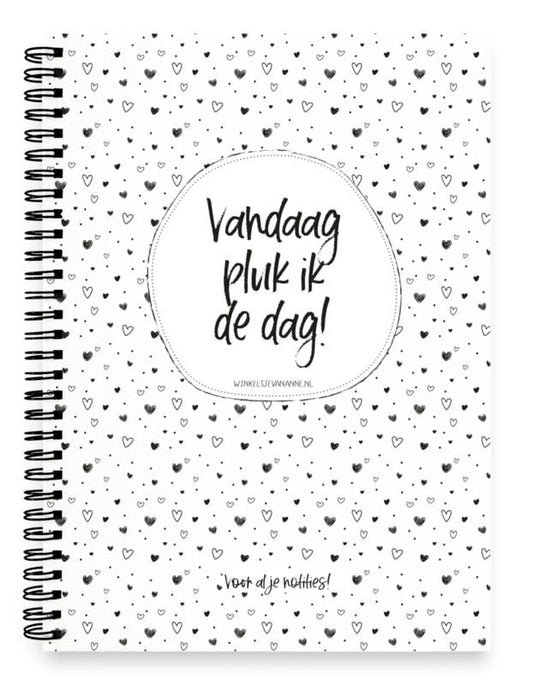 Winkeltje van Anne: notitieboek: Vandaag pluk ik de dag
