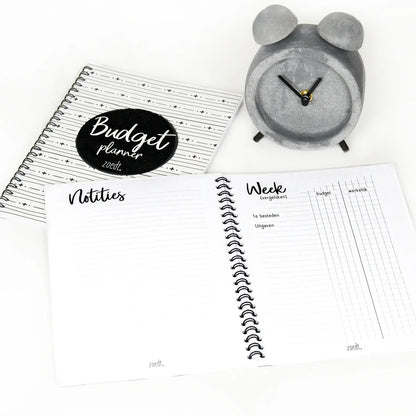 Zoedt: budgetplanner