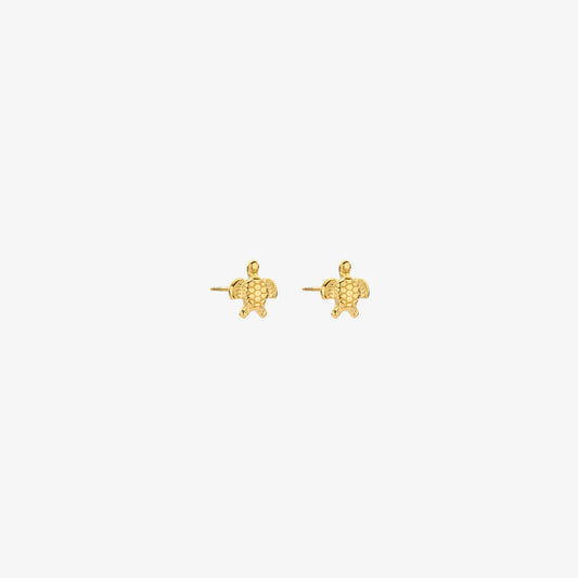 Schildpad oorbellen - goud