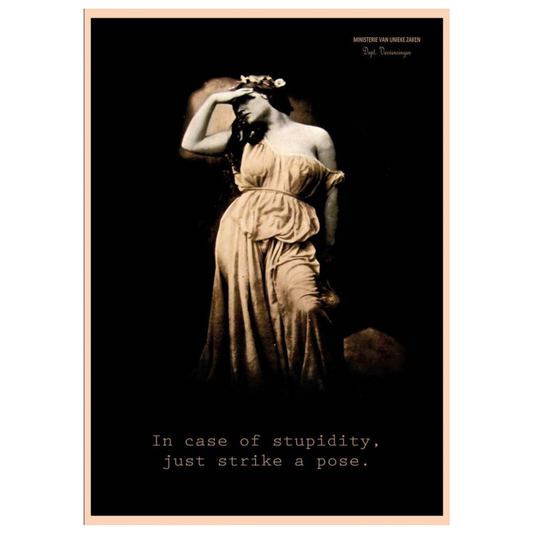 Ministerie van unieke zaken:  kaart a6 - In case of stupidity, just strike a pose