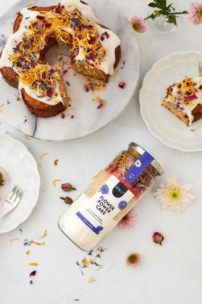 Pineut: cake Pot Flower Power Cake