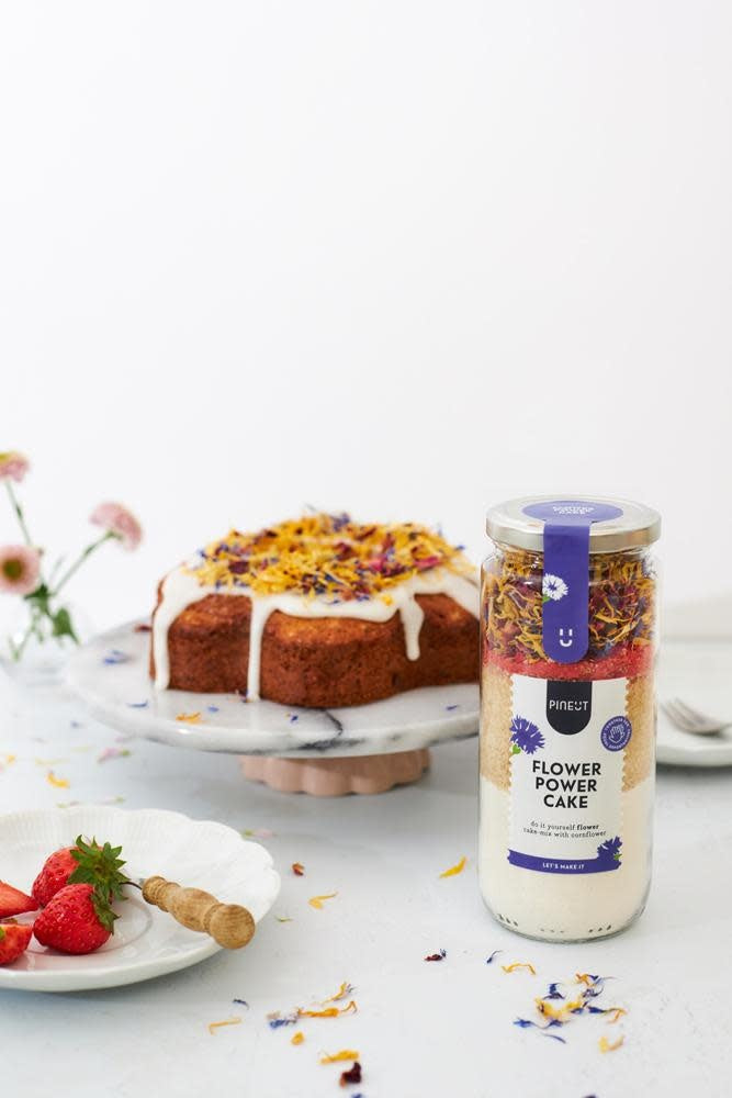 Pineut: cake Pot Flower Power Cake