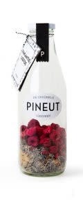 pineut vakantieliefde