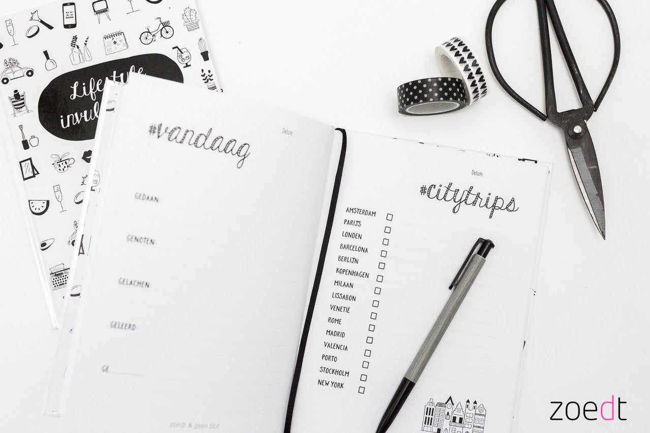 zoedt lifestyle invuldagboek