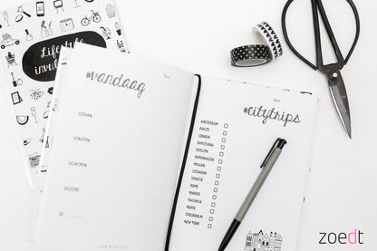 zoedt lifestyle invuldagboek
