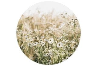 Zoedt: muurcirkel wit 20 cm - bloemenveld