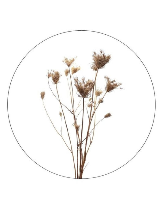 zoedt muurcirkel 20 cm  gedroogde bloemen